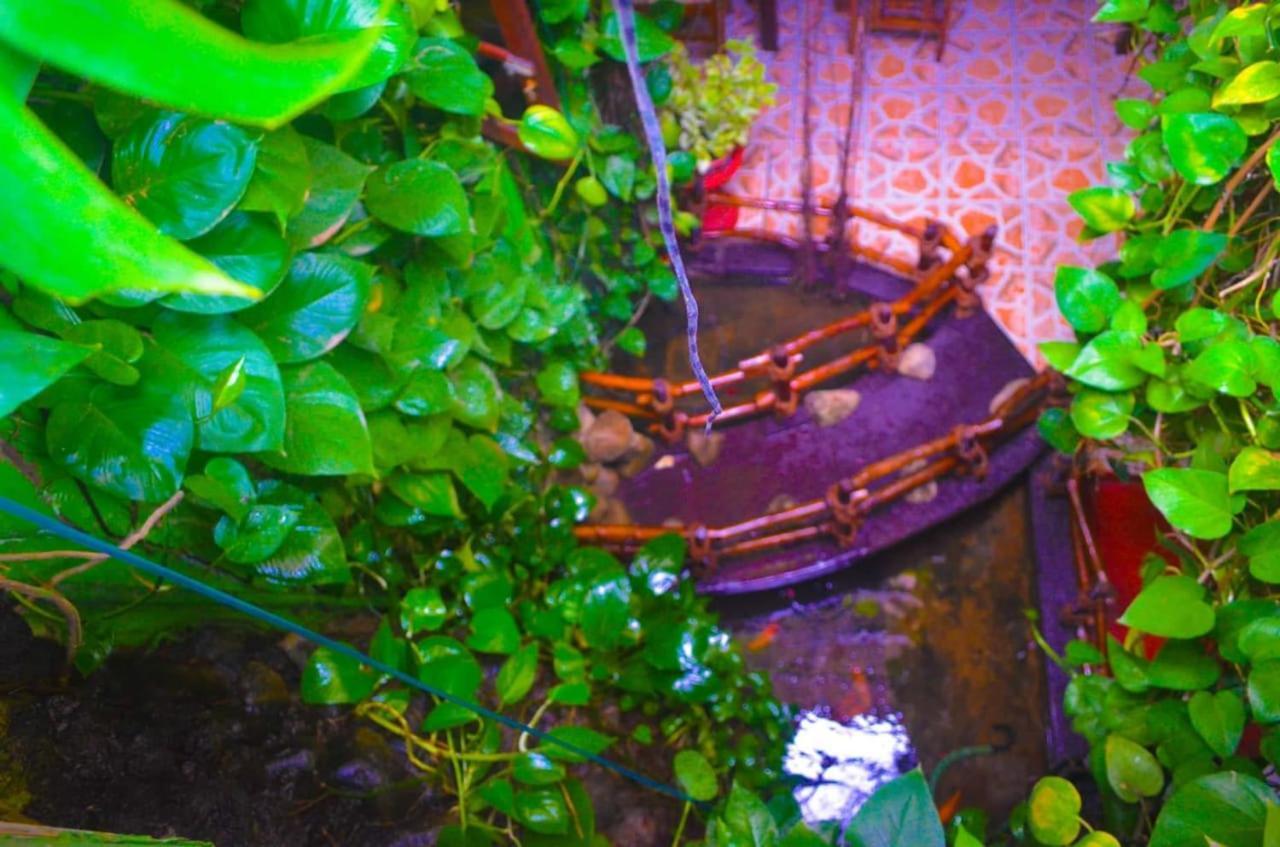 Linda Cottage Galle Exterior photo